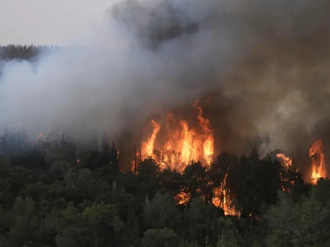 V Šumadiji je zgorelo okrog 15 hiš. FOTO: JKP Šumadija