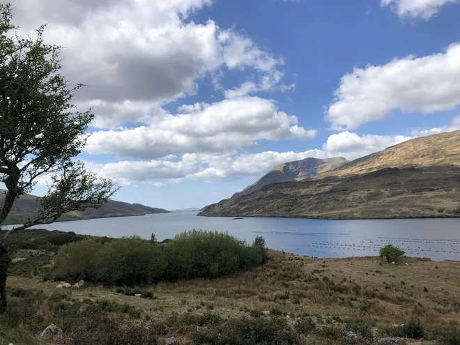 Zaliv Killary je edini irski fjord. Razteza se 16 kilometrov od atlantske obale do vasice Leenane. FOTO: Peter Kumer