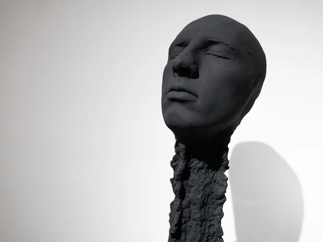 Wolfgang Stiller: Mož vžigalica, 2018 FOTO: Promocijsko gradivo