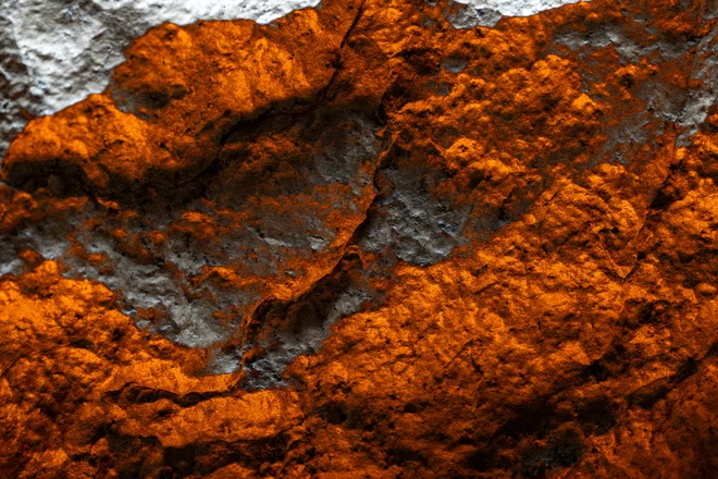 Ocenjujejo tudi, da je na Zemlji znanih okoli 400 meteoritov z Marsa, kar je manj kot odstotek znanih meteoritov na našem planetu. FOTO: Eduardo Munoz/Reuters
