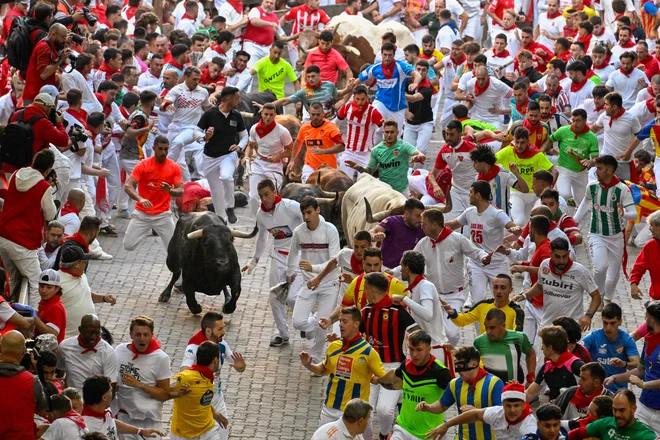 Udeleženci tečejo pred biki med četrtim tekom bikov na festivalu San Fermin v Pamploni na severu Španije. Tisoče ljudi se vsako leto udeleži tedenskega festivala in njegovih znamenitih tekov pred biki, ki vsak dan ob 8. uri zjutraj potekajo po ozkih ulicah starega mesta na 850 metrov dolgi progi, medtem ko tekači pred njimi poskušajo ostati blizu bikov, ne da bi jih podrli. Foto: Ander Gillenea/Afp