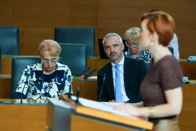 Pobuda za interpelacijo je prišla iz vrst NSi in Demokratov. FOTO: Črt Piksi