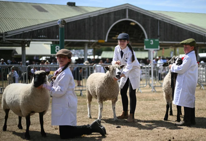 Mladi vodniki kažejo svoje ovce med tekmovanjem na tretji dan razstave »Great Yorkshire Show« v Harrogatu na severu Anglije. Na kmetijskem sejmu, ki je bil prvič organiziran leta 1838, so predstavljeni vsi vidiki življenja na podeželju. Organizira ga Yorkshire Agricultural Society (YAS) in poteka vsako leto julija, v štirih dneh pa ga obišče približno 140.000 obiskovalcev. Foto: Oli Scarff/Afp