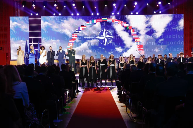 Državna slovesnost ob 20. obletnici vstopa Slovenije v zvezo Nato. FOTO: Leon Vidic/ Delo