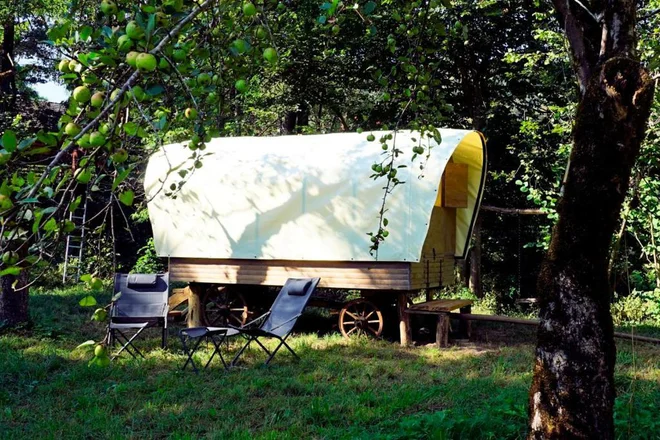 Obiskovalci lahko tudi v Sloveniji prespijo v edinstvenih glamping nastanitvah. FOTO: Apartmaji in glamping Tlaka/Booking.com