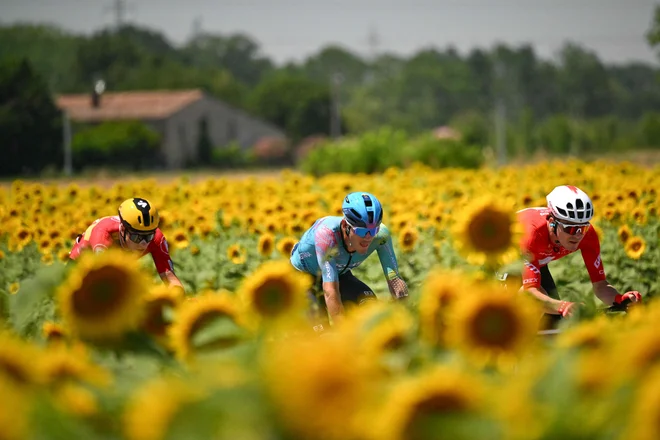 Trenutna povprečna hitrost na etapi je 51 km/h! FOTO: Loic Venance Afp