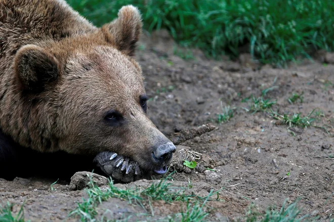 FOTO: Bogdan Cristel/Reuters