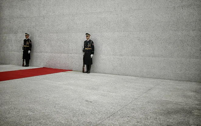 Slovenija bo obstala samo, če bo znala stati pokončno z lastno hrbtenico. FOTO: Blaž Samec