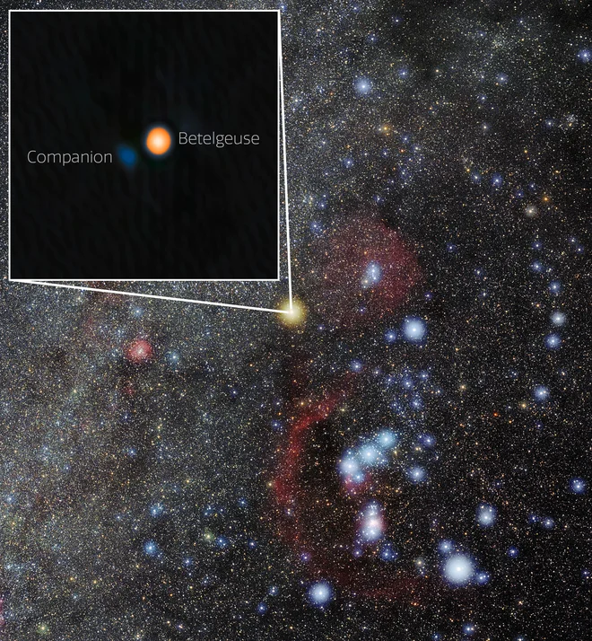 Ozvezdje Oriona in Betelgeza s svojo spremljevalko.
FOTO: Gemini/NOIRLab/NSF/AURA