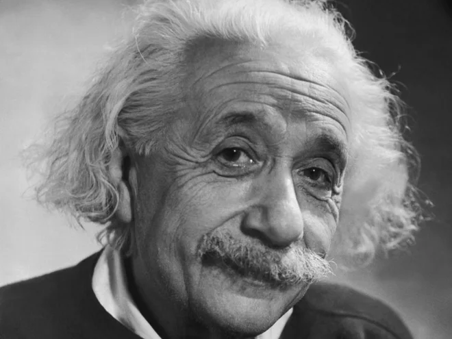 Ljudi, kot je bil Albert Einstein, bi Errol Musk rad našel v Bosni in Hercegovini oziroma jih od drugod tja pripeljal ter jim zaupal svoj ambiciozni raziskovalni projekt. FOTO: Wikimedia Commons