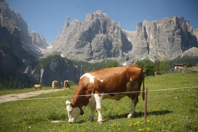 Motiv iz Dolomitov FOTO: Jure Eržen