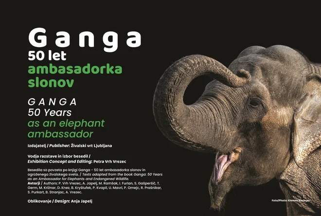Razstava Ganga FOTO: ZOO Ljubljana
