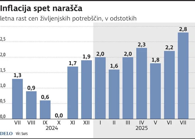 Infografika Delo