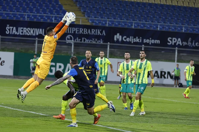Celjani so bili doma premočni, v Larnaki pa so se prebudili prepozno. FOTO: Leon Vidic/Delo
