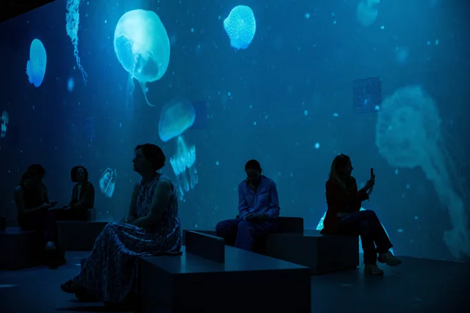 Če oceanov ne bomo zaščitili zaradi narave, moramo to narediti predvsem zaradi nas samih, je že večkrat opomnil David Attenborough. FOTO: Chris J Ratcliffe/Reuters