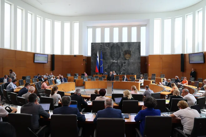 Nekdaj v že oddaljeni zgodovini je nastal izraz »parlamentarna izreka«, ki so ga potem poslovenili v »zborna izreka«. FOTO: Črt Piksi