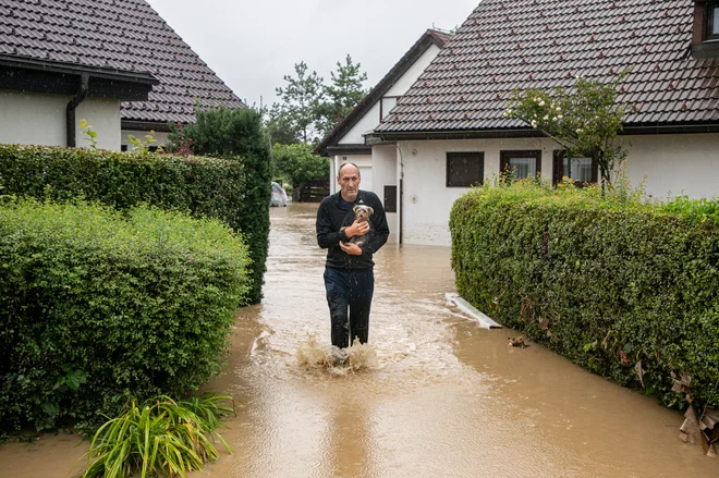 Po mnenju direkcije za vode poplave na območju Sneberij niso posledica le neposrednega izliva Save, ampak tudi dviga podtalnice. FOTO: Voranc Vogel/Delo