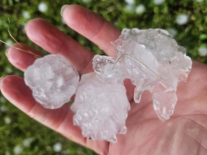 Toča ponekod povsem uničila poljščine in vrtnine