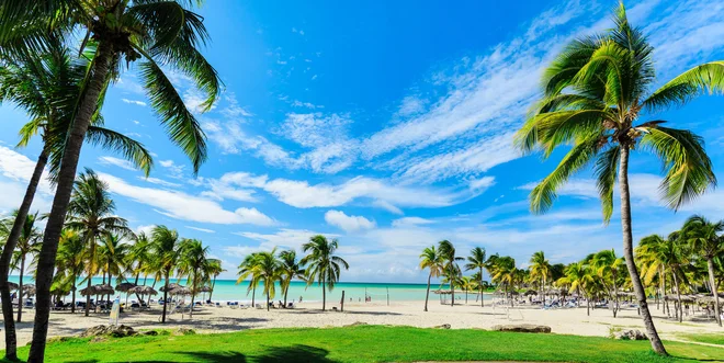 FOTO: Shutterstock
