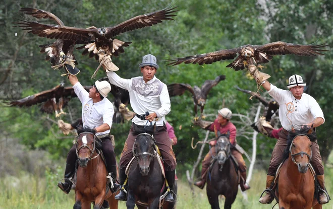 Kirgiški lovci z orli, znani tudi kot »berkutchi«, spustijo svoje ptice med lovskim festivalom Salbuurun v vasi Bokonbayev, blizu jezera Issyk-Kul. Foto: Vyacheslav Oseledko/Afp
