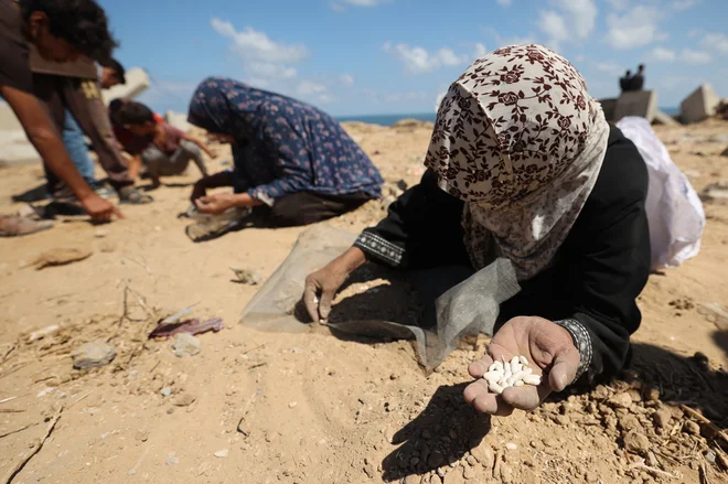 Palestinke med peskom iščejo zrna riža. FOTO: Eyad Baba/AFP