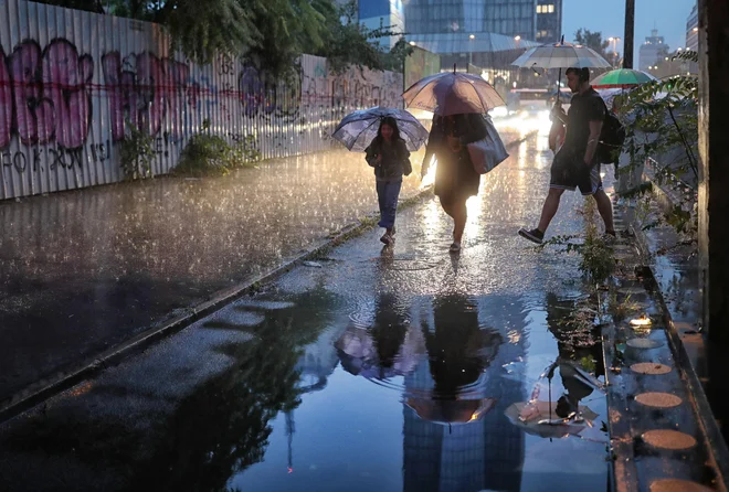 Svetujejo tudi čim hitrejši začetek sanacije škode. FOTO: Blaž Samec/Delo
