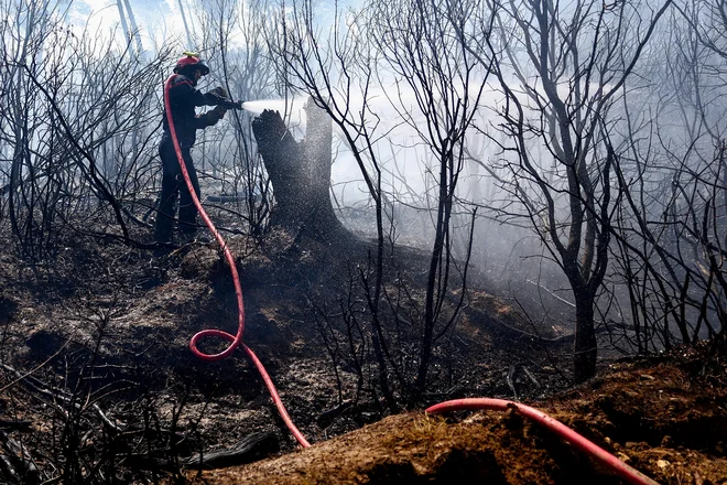 V največjem požaru v Franciji v zadnjih 80 letih je doslej zgorelo najmanj 17.000 hektarov rastlinja. FOTO: Abdul Saboor/Reuters