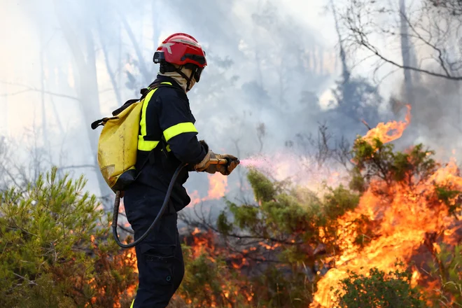 Z ognjenimi zublji se bori več kot 2100 gasilcev. FOTO: Saboor Abdul/Reuters
