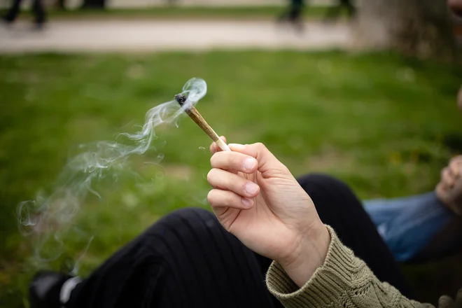 Sledi THC lahko v telesu ostanejo tudi po več tednov, čeprav uporabnik konopljo uživa le priložnostno in tako ne more vplivati na njegovo siceršnje psihofizično stanje. FOTO: Črt Piksi