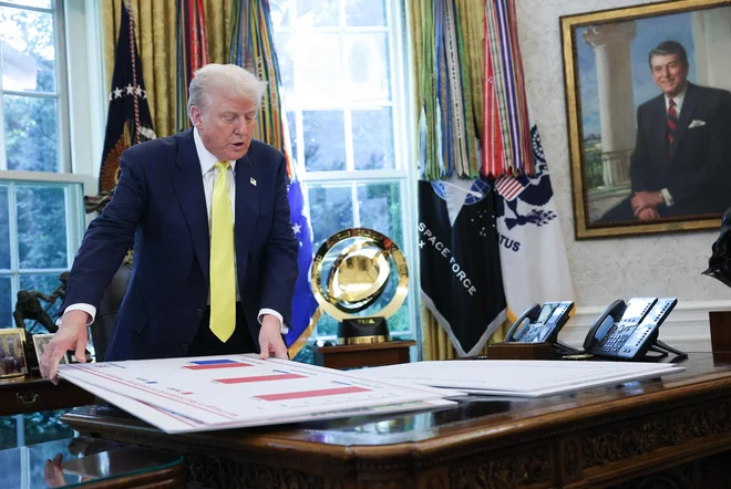 Težava ameriške carinske politike je v tem, da je usmerjena proti državam. S tem ne ščiti domače proizvodnje, ampak ustvarja predvsem pritisk na rast cen in povzroča motnje v oskrbi. FOTO: Win Mcnamee/Getty Images/AFP
