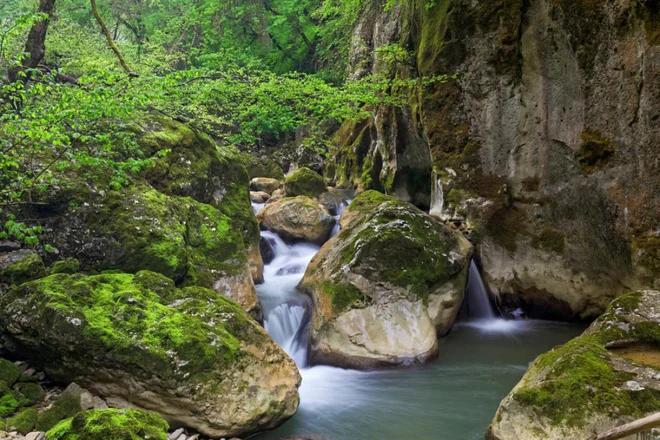 Fotografija je simbolična FOTO: Shutterstock