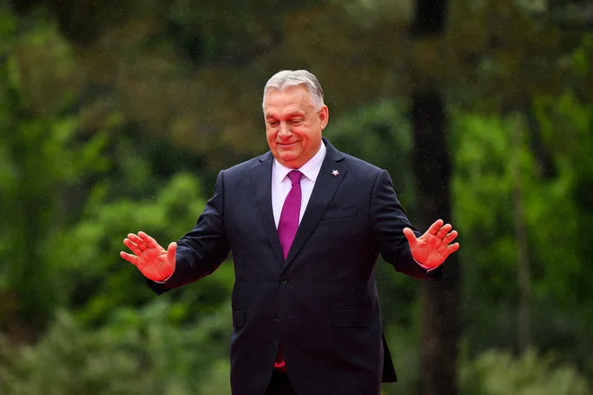 Uradno je posestvo Hatvanpuszta zgolj kmetijsko gospodarstvo, ki ga upravlja oče premiera Viktorja Orbána. FOTO: Leon Neal via Reuters