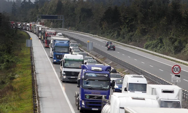 FOTO: Ljubo Vukelič/Delo